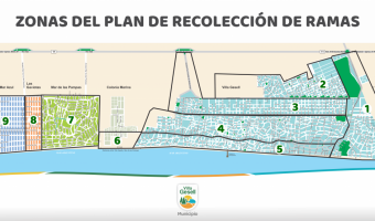 POCA DE PODA: PLAN DE RECOLECCIN DE RAMAS